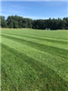 Mowed Park 2