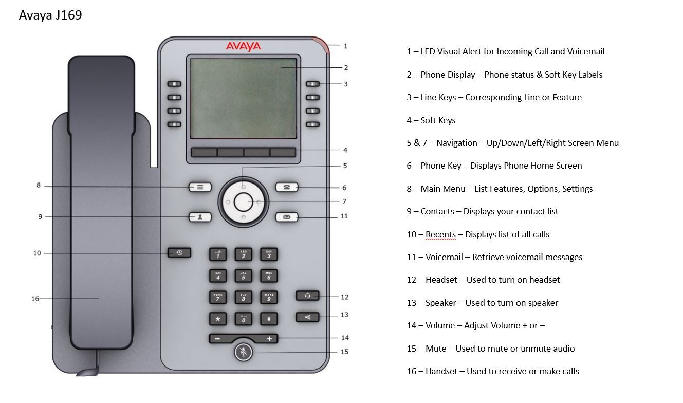 Phone Layout and Labels