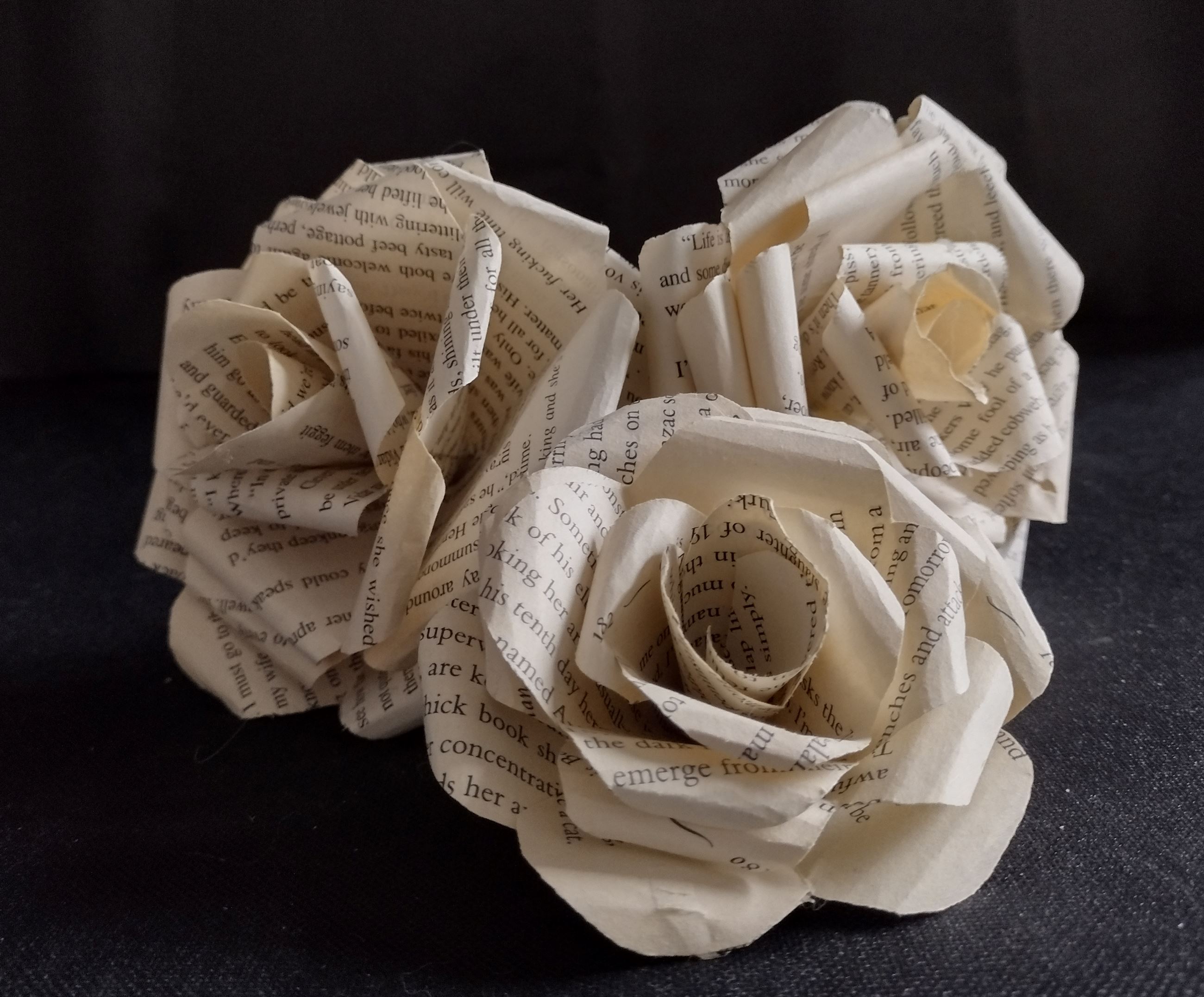 IMG_20231217_091050772_HDR