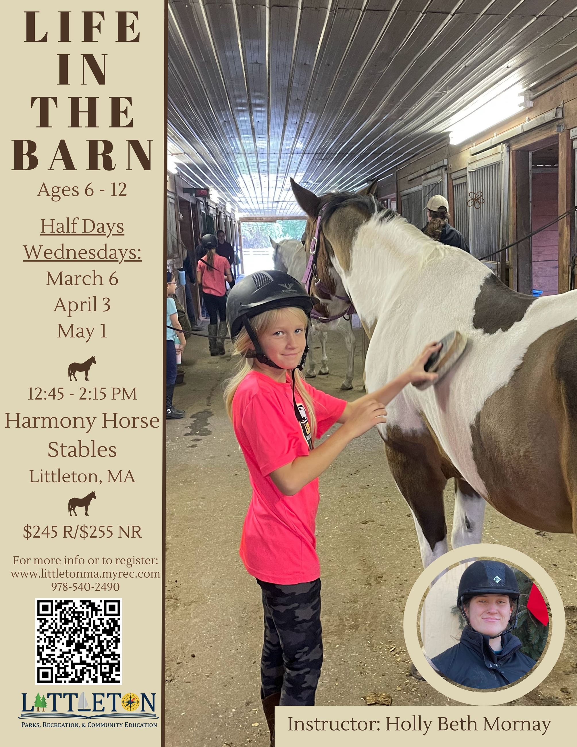 Life in the Barn SPRING 2024